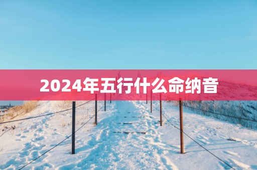 2025年五行什么命纳音