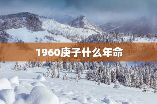 1960庚子什么年命