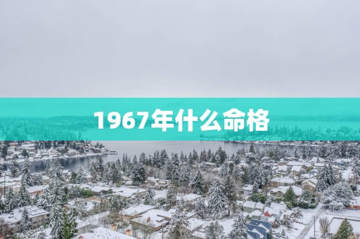 1967年什么命格