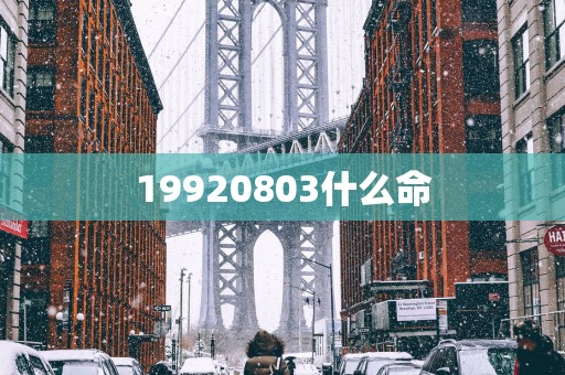 19920803什么命