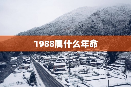 1988属什么年命