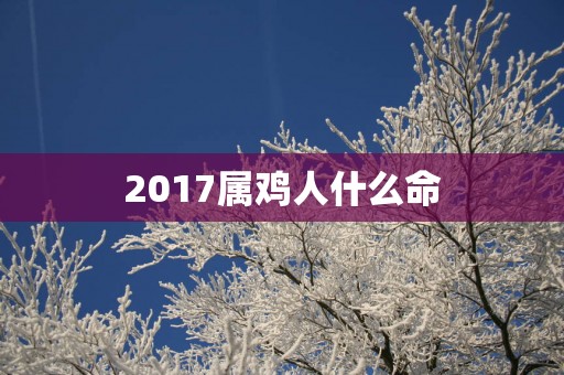 2017属鸡人什么命
