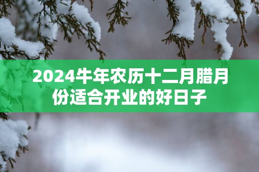 2025蛇年农历十二月腊月份适合开业的好日子