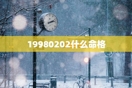 19980202什么命格