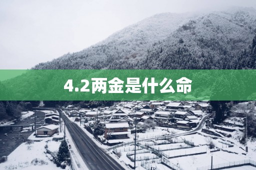 4.2两金是什么命