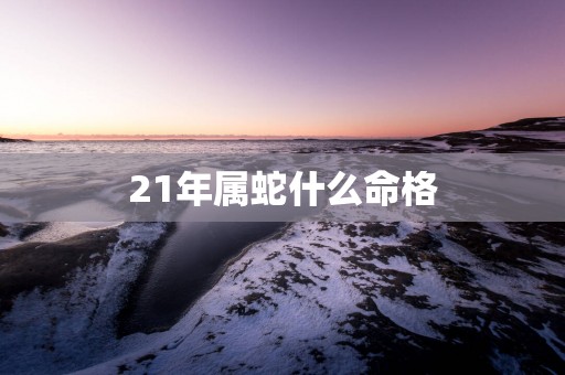21年属蛇什么命格