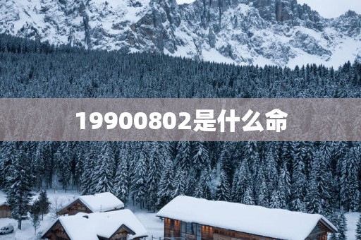 19900802是什么命