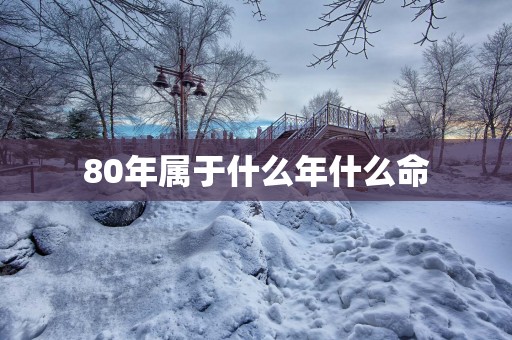 80年属于什么年什么命