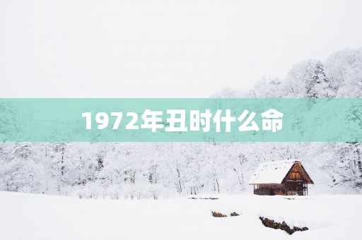1972年丑时什么命