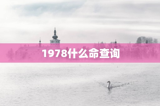 1978什么命查询