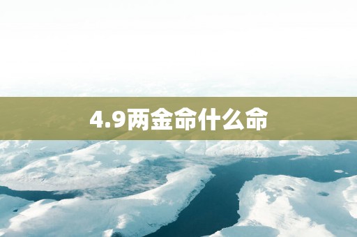 4.9两金命什么命