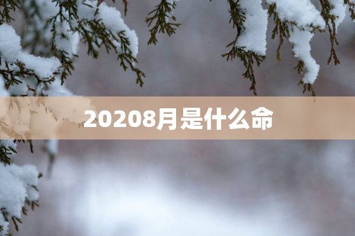 20258月是什么命