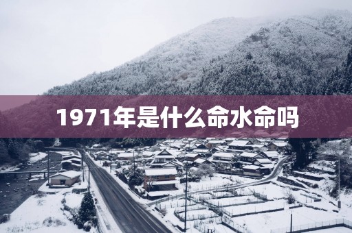 1971年是什么命水命吗