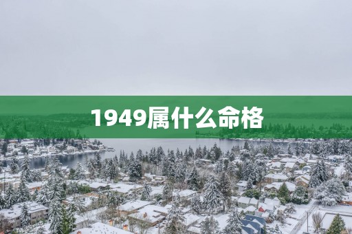 1949属什么命格