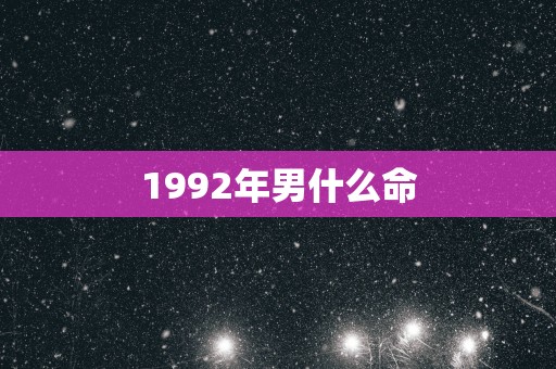 1992年男什么命
