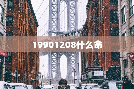 19901208什么命