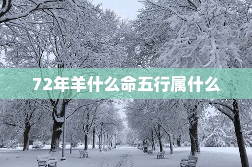 72年羊什么命五行属什么