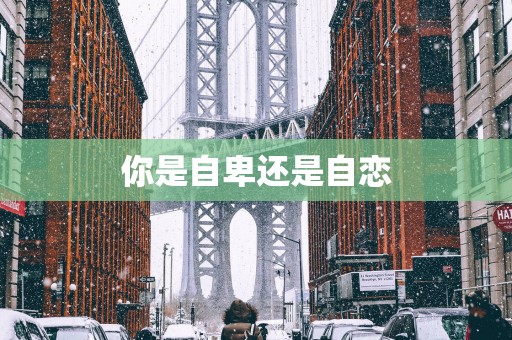 你是自卑还是自恋