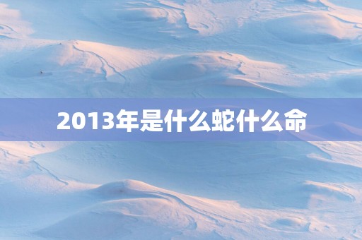 2013年是什么蛇什么命