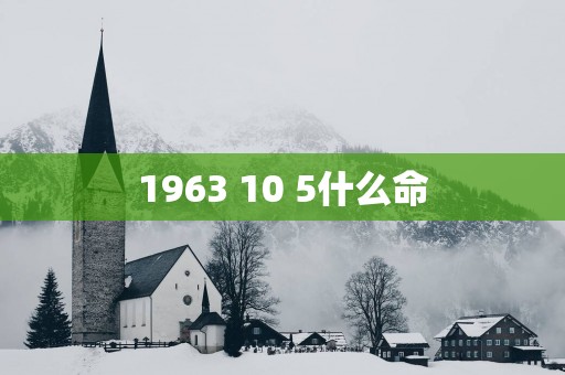 1963 10 5什么命