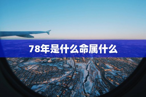 78年是什么命属什么