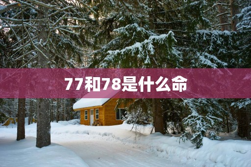 77和78是什么命