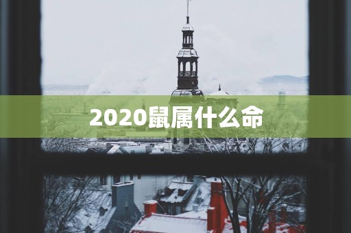 2025鼠属什么命