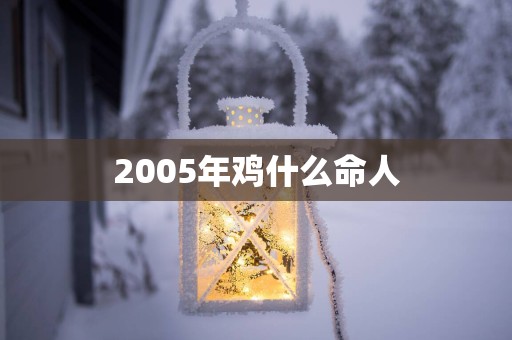2005年鸡什么命人