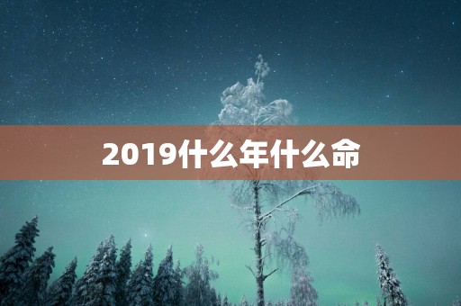 2019什么年什么命