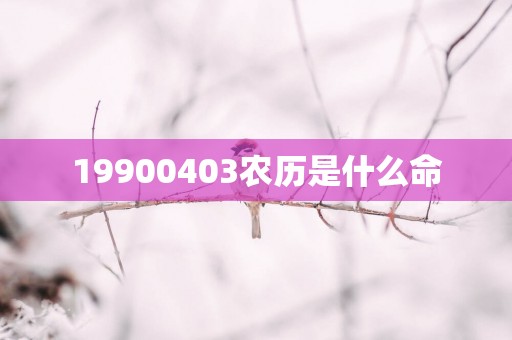 19900403农历是什么命