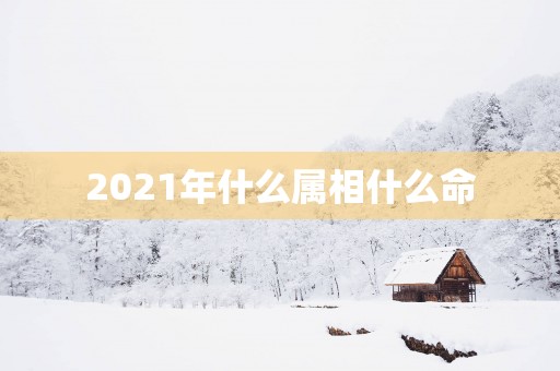 2025年什么属相什么命