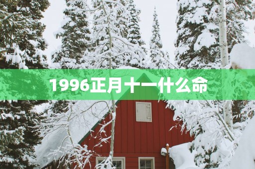 1996正月十一什么命