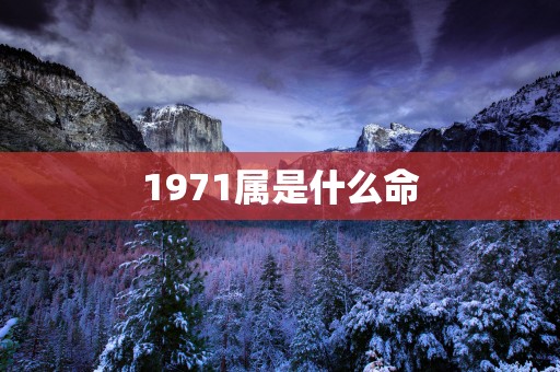 1971属是什么命