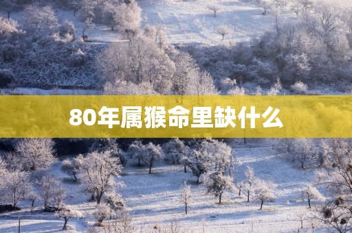 80年属猴命里缺什么