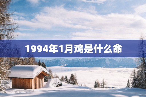 1994年1月鸡是什么命