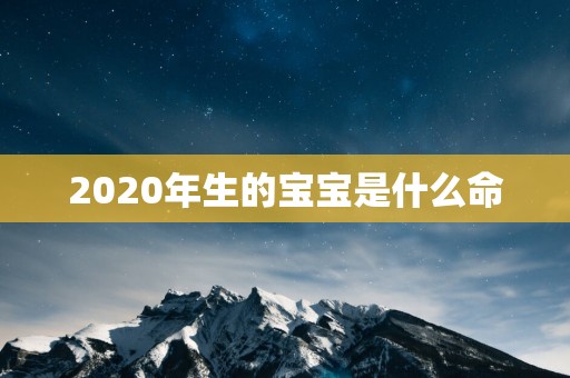 2025年生的宝宝是什么命