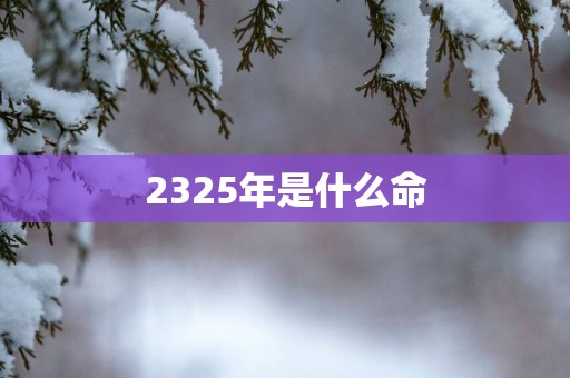 2325年是什么命