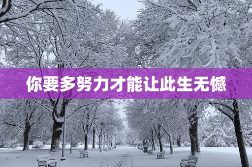 你要多努力才能让此生无憾