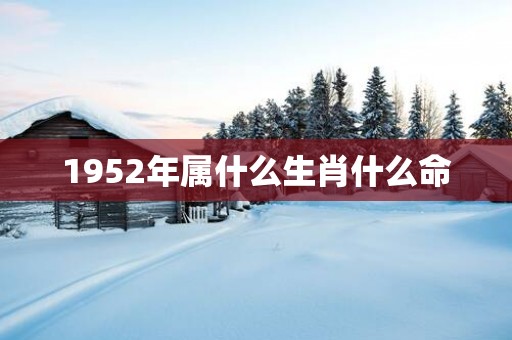 1952年属什么生肖什么命