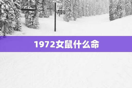 1972女鼠什么命