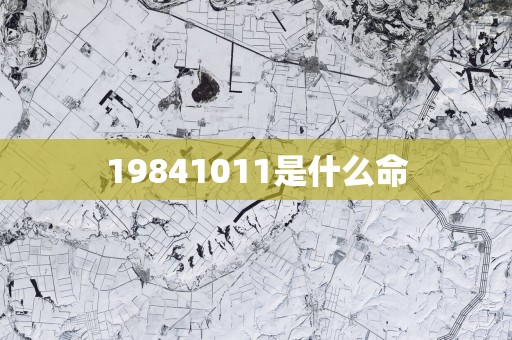 19841011是什么命