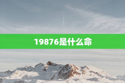 19876是什么命