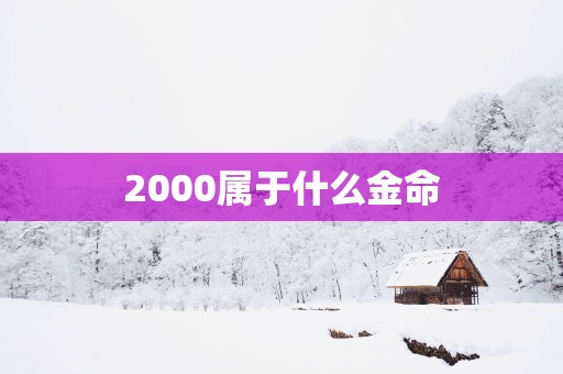 2000属于什么金命