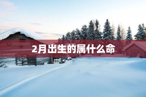 2月出生的属什么命 2月出生的属什么命