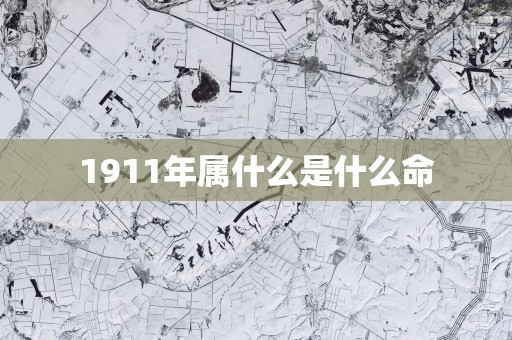 1911年属什么是什么命