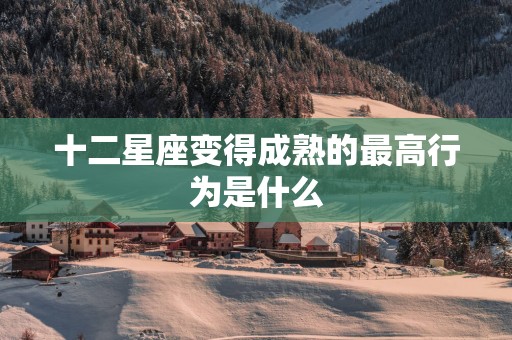 十二星座变得成熟的最高行为是什么