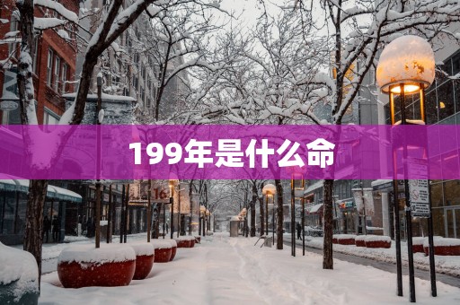 199年是什么命