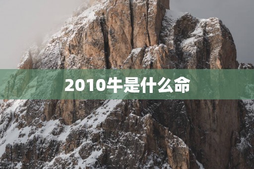 2010牛是什么命