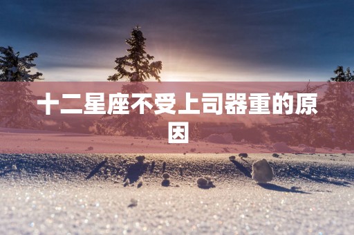 十二星座不受上司器重的原因
