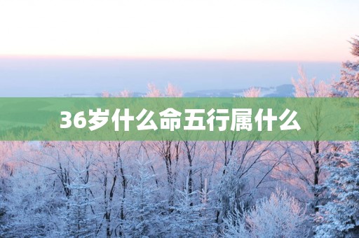 36岁什么命五行属什么